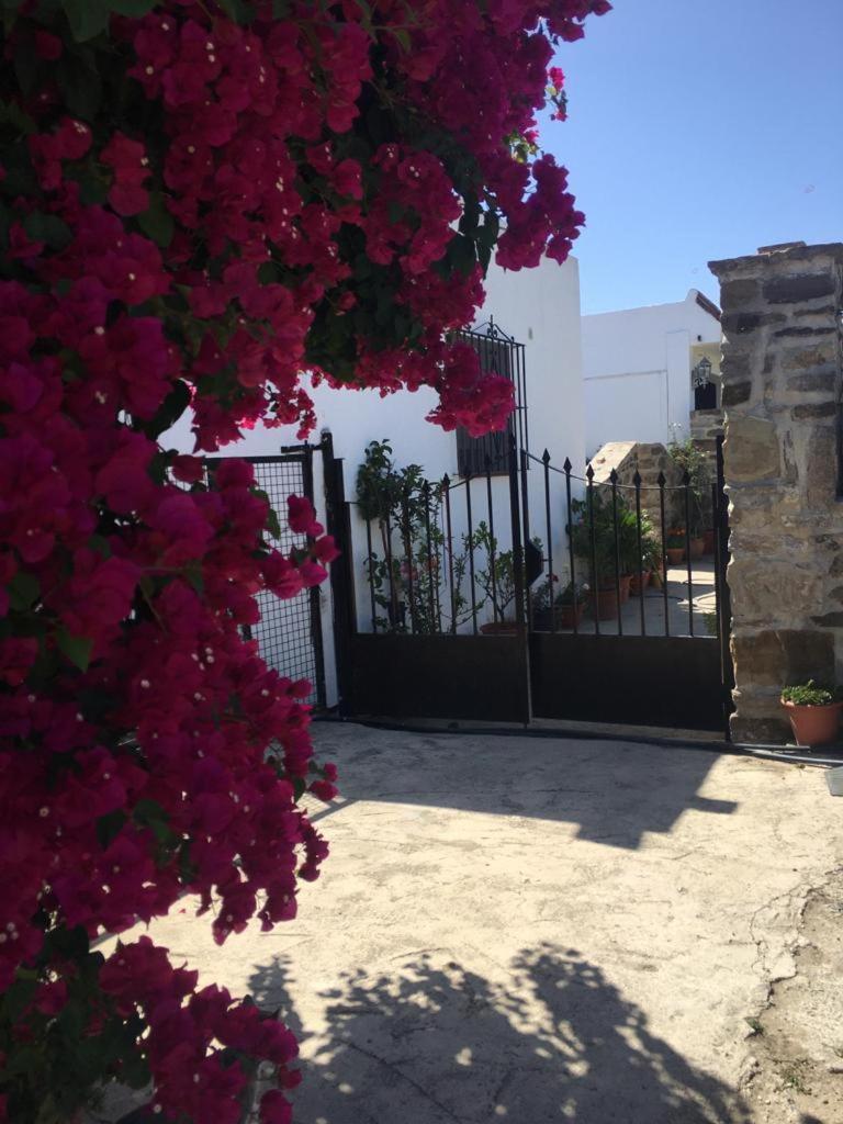 Apartamento Las Adelfas Tarifa Exteriér fotografie